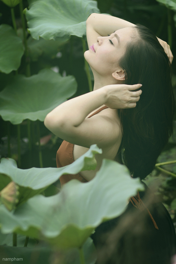 麻花豆傳
