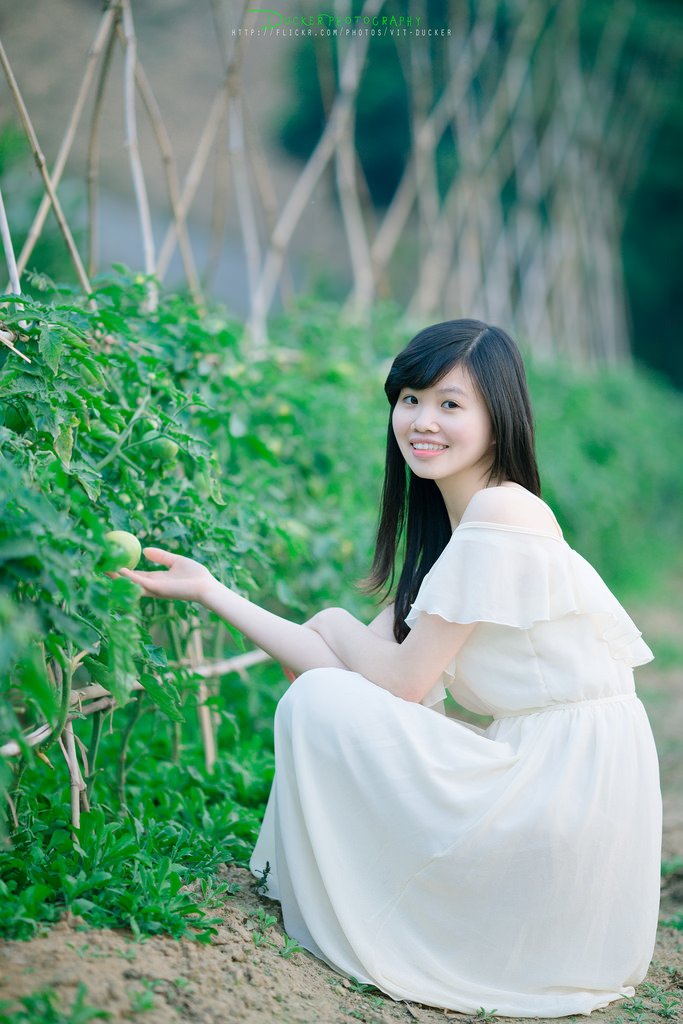 臺(tái)灣動(dòng)感小站