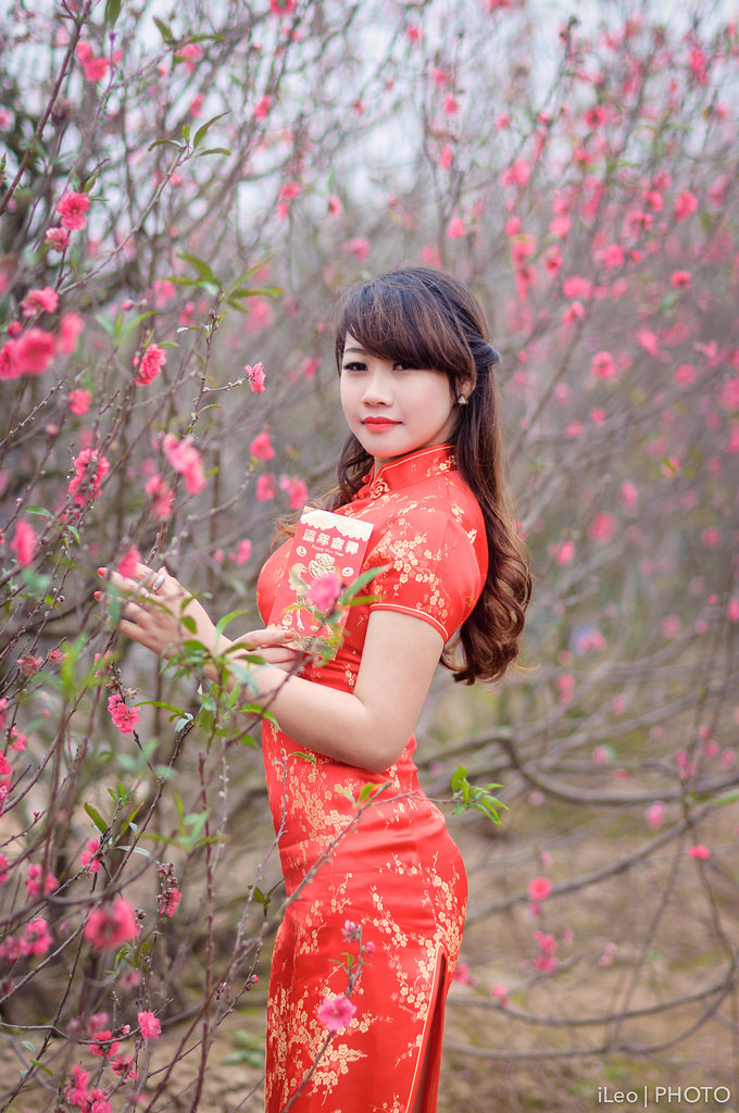 叛逆的魯魯修第二季